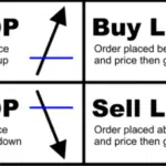 Characteristics of a Successful Forex Trader